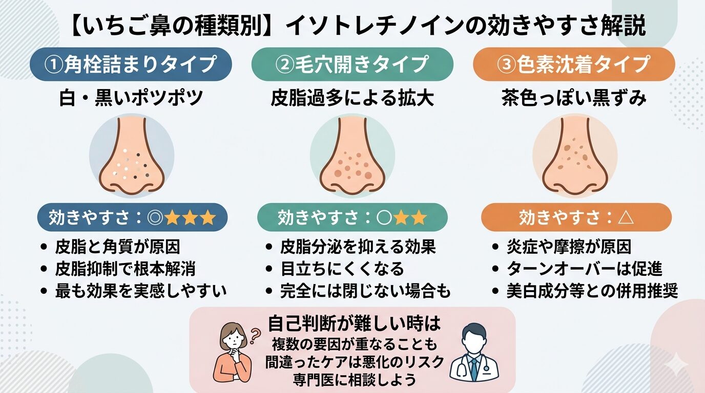【いちご鼻の種類別】イソトレチノインの効きやすさを徹底解説
