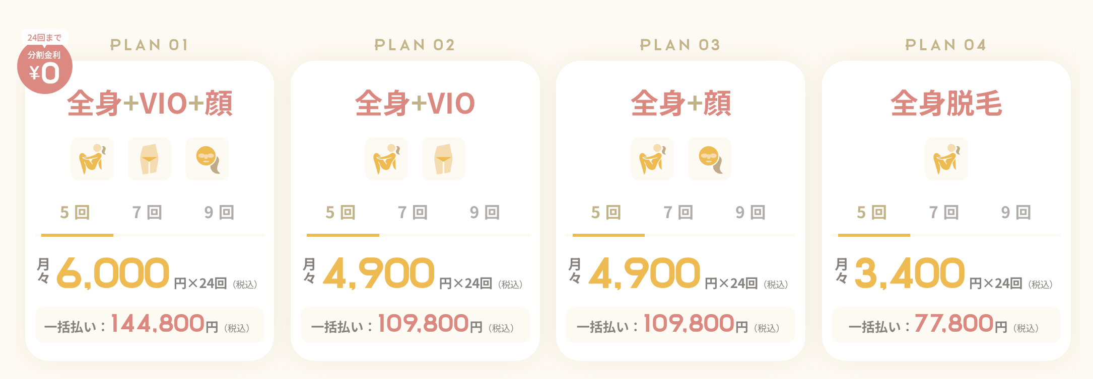 活動歴および当時の関連ビジュアル記録