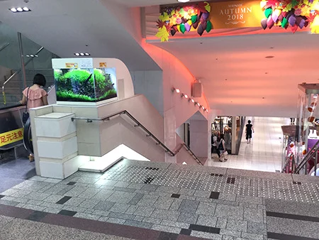 湘南美容クリニック