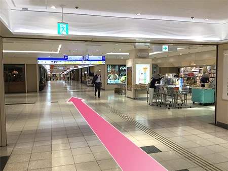 湘南美容クリニック