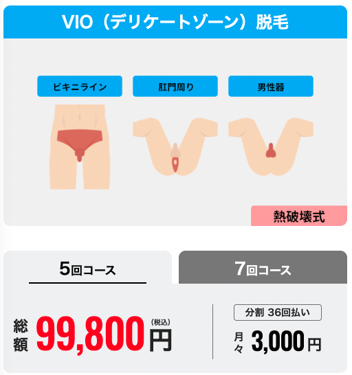 メンズリゼ_VIO脱毛_5回