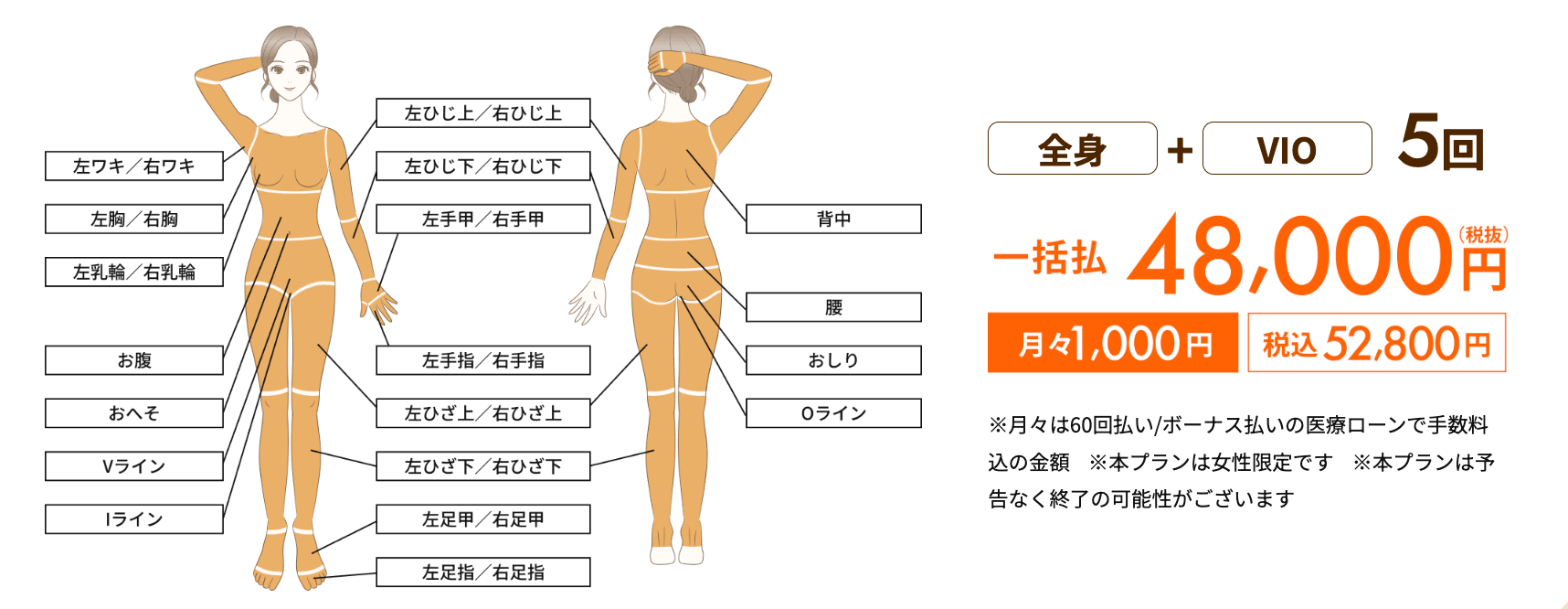 デビュープランの脱毛可能箇所