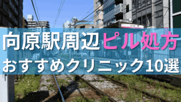 向原駅周辺で【ピル】を処方してもらえるおすすめクリニック10選！