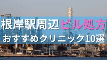 根岸駅周辺で【ピル】を処方してもらえるおすすめクリニック10選！