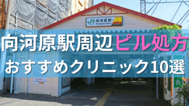 向河原駅周辺で【ピル】を処方してもらえるおすすめクリニック10選！
