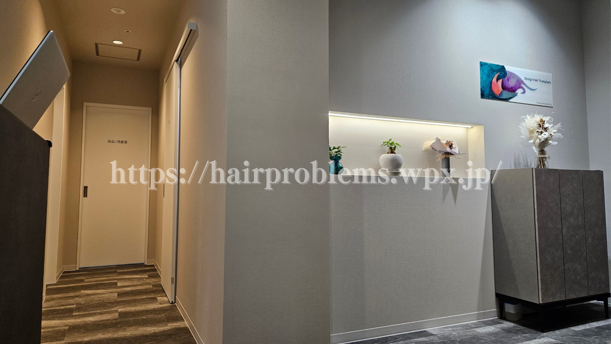 東京植毛美容外科院内の様子